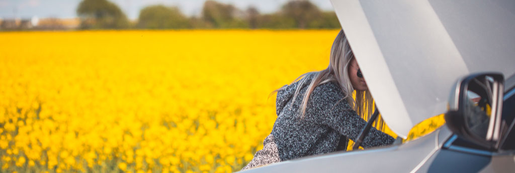 bulk sms service provider